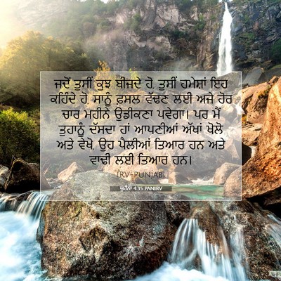 Picture 07 - ਯੂਹੰਨਾ 4:35 PANIRV - ਜਦੋਂ ਤੁਸੀਂ ਕੁਝ - Bible Verse Picture