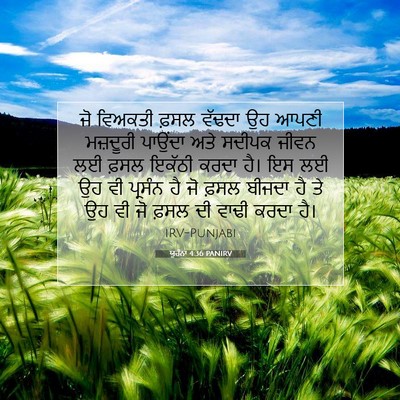 Picture 07 - ਯੂਹੰਨਾ 4:36 PANIRV - ਜੋ ਵਿਅਕਤੀ ਫ਼ਸਲ - Bible Verse Picture