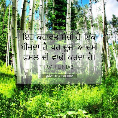 Picture 07 - ਯੂਹੰਨਾ 4:37 PANIRV - ਇਹ ਕਹਾਵਤ ਸੱਚੀ ਹੈ, - Bible Verse Picture