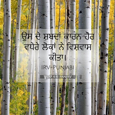 Picture 07 - ਯੂਹੰਨਾ 4:41 PANIRV - ਉਸ ਦੇ ਸ਼ਬਦਾਂ ਕਾਰਨ - Bible Verse Picture