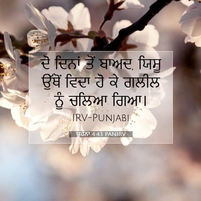 Picture 07 - ਯੂਹੰਨਾ 4:43 PANIRV - ਦੋ ਦਿਨਾਂ ਤੋਂ ਬਾਅਦ, - Bible Verse Picture