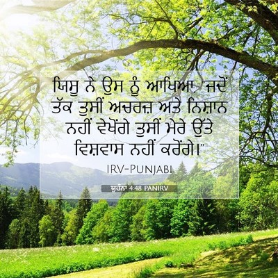 Picture 07 - ਯੂਹੰਨਾ 4:48 PANIRV - ਯਿਸੂ ਨੇ ਉਸ ਨੂੰ - Bible Verse Picture