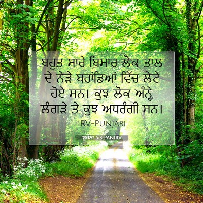 Picture 07 - ਯੂਹੰਨਾ 5:3 PANIRV - ਬਹੁਤ ਸਾਰੇ ਬਿਮਾਰ - Bible Verse Picture