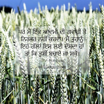 Picture 07 - ਯੂਹੰਨਾ 5:34 PANIRV - ਪਰ ਮੈਂ ਇੱਕ ਆਦਮੀ ਦੀ - Bible Verse Picture