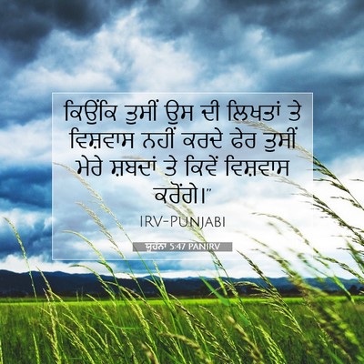 Picture 07 - ਯੂਹੰਨਾ 5:47 PANIRV - ਕਿਉਂਕਿ ਤੁਸੀਂ ਉਸ ਦੀ - Bible Verse Picture