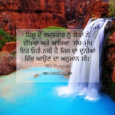 Picture 07 - ਯੂਹੰਨਾ 6:14 PANIRV - ਯਿਸੂ ਦੇ ਚਮਤਕਾਰ ਨੂੰ - Bible Verse Picture