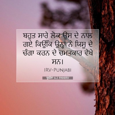 Picture 07 - ਯੂਹੰਨਾ 6:2 PANIRV - ਬਹੁਤ ਸਾਰੇ ਲੋਕ ਉਸ ਦੇ - Bible Verse Picture