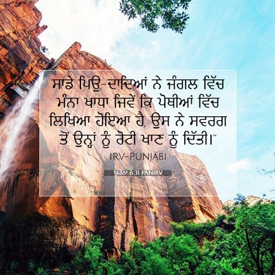 Picture 07 - ਯੂਹੰਨਾ 6:31 PANIRV - ਸਾਡੇ ਪਿਉ-ਦਾਦਿਆਂ ਨੇ - Bible Verse Picture