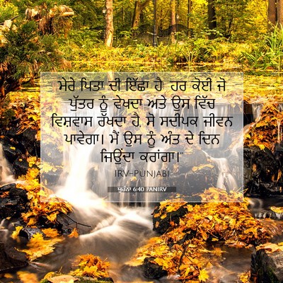 Picture 07 - ਯੂਹੰਨਾ 6:40 PANIRV - ਮੇਰੇ ਪਿਤਾ ਦੀ ਇੱਛਾ - Bible Verse Picture