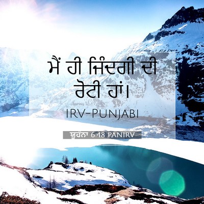 Picture 07 - ਯੂਹੰਨਾ 6:48 PANIRV - ਮੈਂ ਹੀ ਜਿੰਦਗੀ ਦੀ - Bible Verse Picture