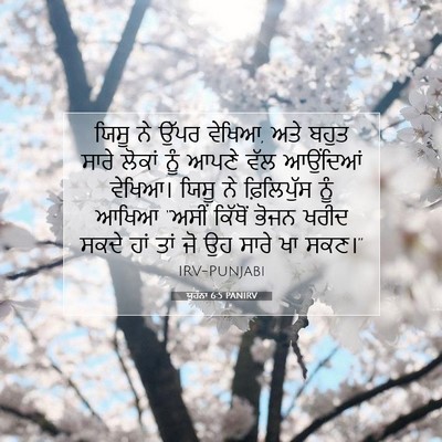 Picture 07 - ਯੂਹੰਨਾ 6:5 PANIRV - ਯਿਸੂ ਨੇ ਉੱਪਰ ਵੇਖਿਆ, - Bible Verse Picture