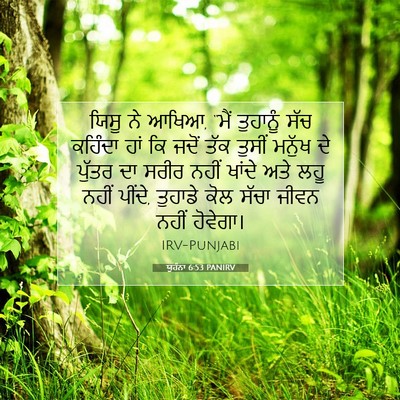 Picture 07 - ਯੂਹੰਨਾ 6:53 PANIRV - ਯਿਸੂ ਨੇ ਆਖਿਆ, “ਮੈਂ - Bible Verse Picture
