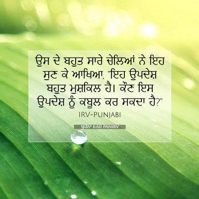 Picture 07 - ਯੂਹੰਨਾ 6:60 PANIRV - ਉਸ ਦੇ ਬਹੁਤ ਸਾਰੇ - Bible Verse Picture