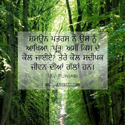 Picture 07 - ਯੂਹੰਨਾ 6:68 PANIRV - ਸ਼ਮਊਨ ਪਤਰਸ ਨੇ ਉਸ - Bible Verse Picture