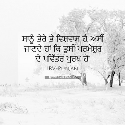 Picture 07 - ਯੂਹੰਨਾ 6:69 PANIRV - ਸਾਨੂੰ ਤੇਰੇ ਤੇ - Bible Verse Picture