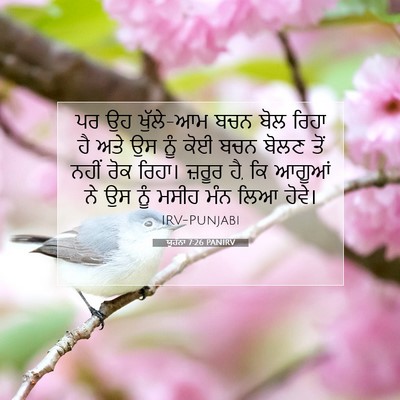 Picture 07 - ਯੂਹੰਨਾ 7:26 PANIRV - ਪਰ ਉਹ ਖੁੱਲੇ-ਆਮ ਬਚਨ - Bible Verse Picture