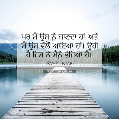 Picture 07 - ਯੂਹੰਨਾ 7:29 PANIRV - ਪਰ ਮੈਂ ਉਸ ਨੂੰ ਜਾਣਦਾ - Bible Verse Picture