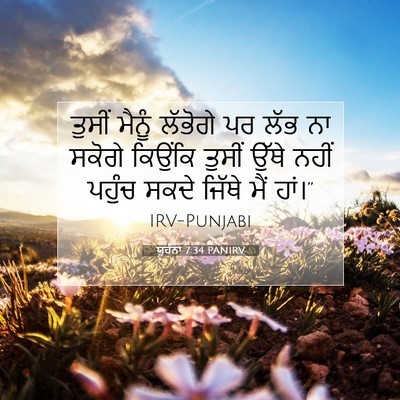 Picture 07 - ਯੂਹੰਨਾ 7:34 PANIRV - ਤੁਸੀਂ ਮੈਨੂੰ - Bible Verse Picture