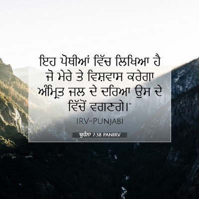 Picture 07 - ਯੂਹੰਨਾ 7:38 PANIRV - ਇਹ ਪੋਥੀਆਂ ਵਿੱਚ - Bible Verse Picture