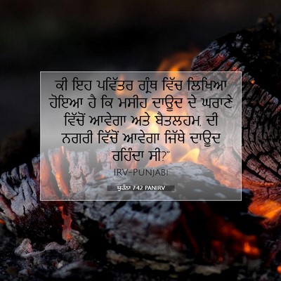 Picture 07 - ਯੂਹੰਨਾ 7:42 PANIRV - ਕੀ ਇਹ ਪਵਿੱਤਰ ਗ੍ਰੰਥ - Bible Verse Picture