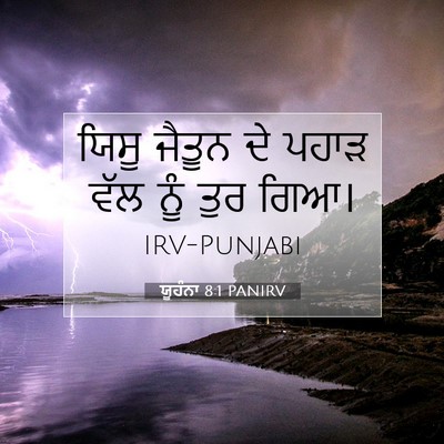 Picture 07 - ਯੂਹੰਨਾ 8:1 PANIRV - ਯਿਸੂ ਜੈਤੂਨ ਦੇ ਪਹਾੜ - Bible Verse Picture