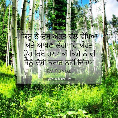 Picture 07 - ਯੂਹੰਨਾ 8:10 PANIRV - ਯਿਸੂ ਨੇ ਉਸ ਔਰਤ ਵੱਲ - Bible Verse Picture