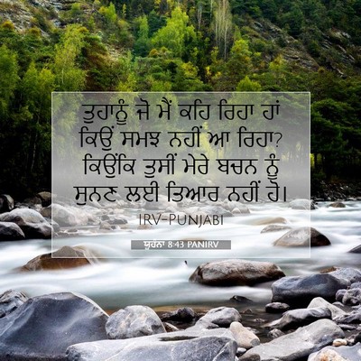 Picture 07 - ਯੂਹੰਨਾ 8:43 PANIRV - ਤੁਹਾਨੂੰ ਜੋ ਮੈਂ ਕਹਿ - Bible Verse Picture