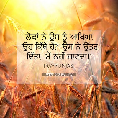Picture 07 - ਯੂਹੰਨਾ 9:12 PANIRV - ਲੋਕਾਂ ਨੇ ਉਸ ਨੂੰ - Bible Verse Picture