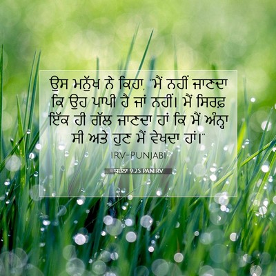 Picture 07 - ਯੂਹੰਨਾ 9:25 PANIRV - ਉਸ ਮਨੁੱਖ ਨੇ ਕਿਹਾ, - Bible Verse Picture