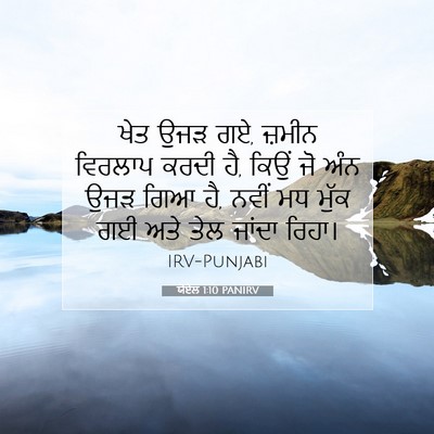 Picture 07 - ਯੋਏਲ 1:10 PANIRV - ਖੇਤ ਉਜੜ ਗਏ, ਜ਼ਮੀਨ - Bible Verse Picture