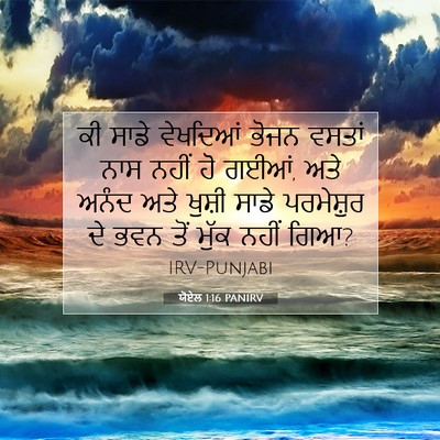 Picture 07 - ਯੋਏਲ 1:16 PANIRV - ਕੀ ਸਾਡੇ ਵੇਖਦਿਆਂ - Bible Verse Picture