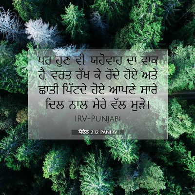 Picture 07 - ਯੋਏਲ 2:12 PANIRV - ਪਰ ਹੁਣ ਵੀ, ਯਹੋਵਾਹ - Bible Verse Picture