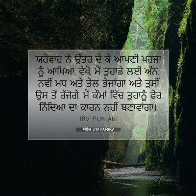 Picture 07 - ਯੋਏਲ 2:19 PANIRV - ਯਹੋਵਾਹ ਨੇ ਉੱਤਰ ਦੇ - Bible Verse Picture