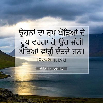 Picture 07 - ਯੋਏਲ 2:4 PANIRV - ਉਹਨਾਂ ਦਾ ਰੂਪ - Bible Verse Picture
