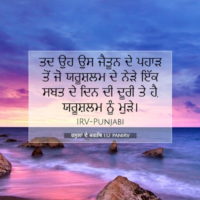 Picture 07 - ਰਸੂਲਾਂ ਦੇ ਕਰਤੱਬ 1:12 PANIRV - ਤਦ ਉਹ ਉਸ ਜੈਤੂਨ ਦੇ - Bible Verse Picture