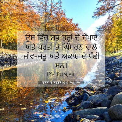 Picture 07 - ਰਸੂਲਾਂ ਦੇ ਕਰਤੱਬ 10:12 PANIRV - ਉਸ ਵਿੱਚ ਸਭ ਤਰ੍ਹਾਂ - Bible Verse Picture