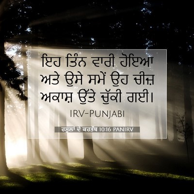 Picture 07 - ਰਸੂਲਾਂ ਦੇ ਕਰਤੱਬ 10:16 PANIRV - ਇਹ ਤਿੰਨ ਵਾਰੀ ਹੋਇਆ - Bible Verse Picture