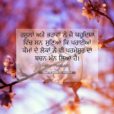 Picture 07 - ਰਸੂਲਾਂ ਦੇ ਕਰਤੱਬ 11:1 PANIRV - ਰਸੂਲਾਂ ਅਤੇ ਭਰਾਵਾਂ - Bible Verse Picture