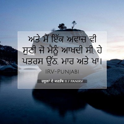 Picture 07 - ਰਸੂਲਾਂ ਦੇ ਕਰਤੱਬ 11:7 PANIRV - ਅਤੇ ਮੈਂ ਇੱਕ ਅਵਾਜ਼ - Bible Verse Picture