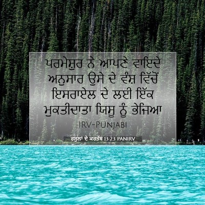 Picture 07 - ਰਸੂਲਾਂ ਦੇ ਕਰਤੱਬ 13:23 PANIRV - ਪਰਮੇਸ਼ੁਰ ਨੇ ਆਪਣੇ - Bible Verse Picture