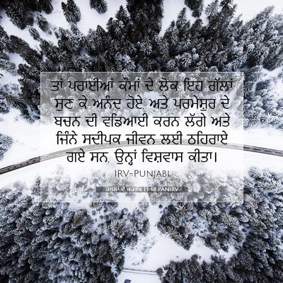 Picture 07 - ਰਸੂਲਾਂ ਦੇ ਕਰਤੱਬ 13:48 PANIRV - ਤਾਂ ਪਰਾਈਆਂ ਕੌਮਾਂ - Bible Verse Picture