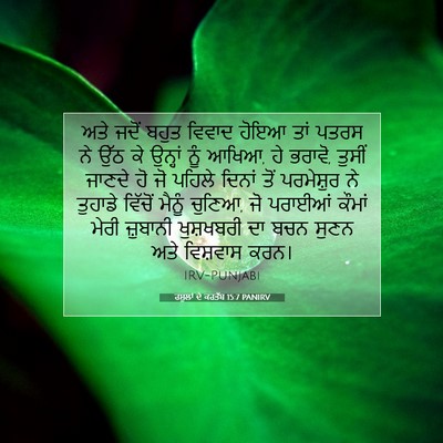 Picture 07 - ਰਸੂਲਾਂ ਦੇ ਕਰਤੱਬ 15:7 PANIRV - ਅਤੇ ਜਦੋਂ ਬਹੁਤ - Bible Verse Picture