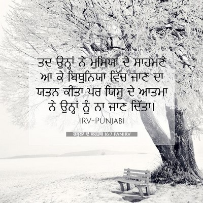 Picture 07 - ਰਸੂਲਾਂ ਦੇ ਕਰਤੱਬ 16:7 PANIRV - ਤਦ ਉਨ੍ਹਾਂ ਨੇ - Bible Verse Picture