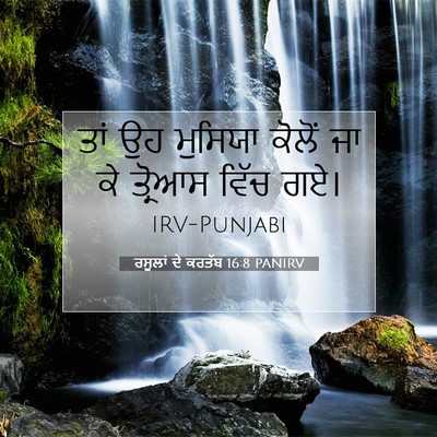 Picture 07 - ਰਸੂਲਾਂ ਦੇ ਕਰਤੱਬ 16:8 PANIRV - ਤਾਂ ਉਹ ਮੁਸਿਯਾ - Bible Verse Picture