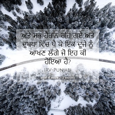 Picture 07 - ਰਸੂਲਾਂ ਦੇ ਕਰਤੱਬ 2:12 PANIRV - ਅਤੇ ਸਭ ਹੈਰਾਨ ਰਹਿ ਗਏ - Bible Verse Picture