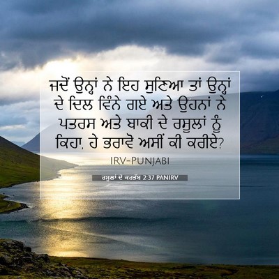 Picture 07 - ਰਸੂਲਾਂ ਦੇ ਕਰਤੱਬ 2:37 PANIRV - ਜਦੋਂ ਉਨ੍ਹਾਂ ਨੇ ਇਹ - Bible Verse Picture