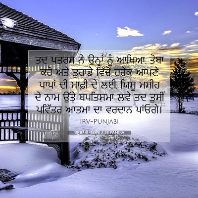 Picture 07 - ਰਸੂਲਾਂ ਦੇ ਕਰਤੱਬ 2:38 PANIRV - ਤਦ ਪਤਰਸ ਨੇ ਉਨ੍ਹਾਂ - Bible Verse Picture