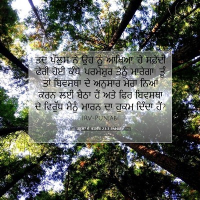 Picture 07 - ਰਸੂਲਾਂ ਦੇ ਕਰਤੱਬ 23:3 PANIRV - ਤਦ ਪੌਲੁਸ ਨੇ ਉਹ ਨੂੰ - Bible Verse Picture