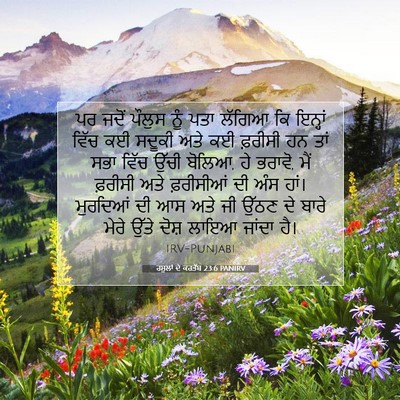 Picture 07 - ਰਸੂਲਾਂ ਦੇ ਕਰਤੱਬ 23:6 PANIRV - ਪਰ ਜਦੋਂ ਪੌਲੁਸ ਨੂੰ - Bible Verse Picture