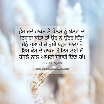 Picture 07 - ਰਸੂਲਾਂ ਦੇ ਕਰਤੱਬ 24:10 PANIRV - ਫ਼ੇਰ ਜਦੋਂ ਹਾਕਮ ਨੇ - Bible Verse Picture